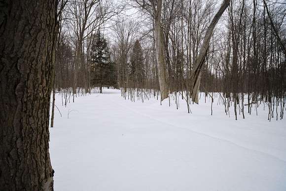 9.48 Acres of Land for Sale in Manistee, Michigan