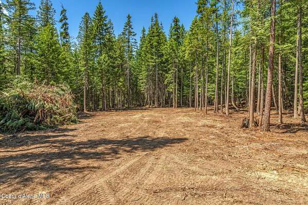 5 Acres of Land for Sale in Clark Fork, Idaho