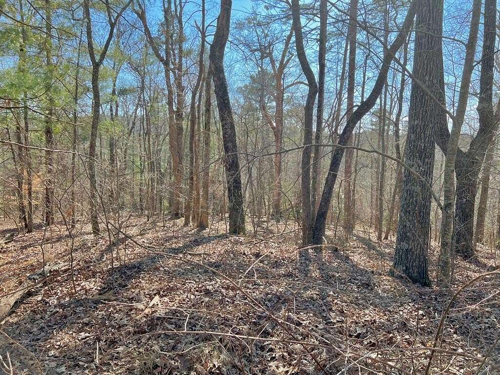 1 Acre of Land for Sale in Ellijay, Georgia