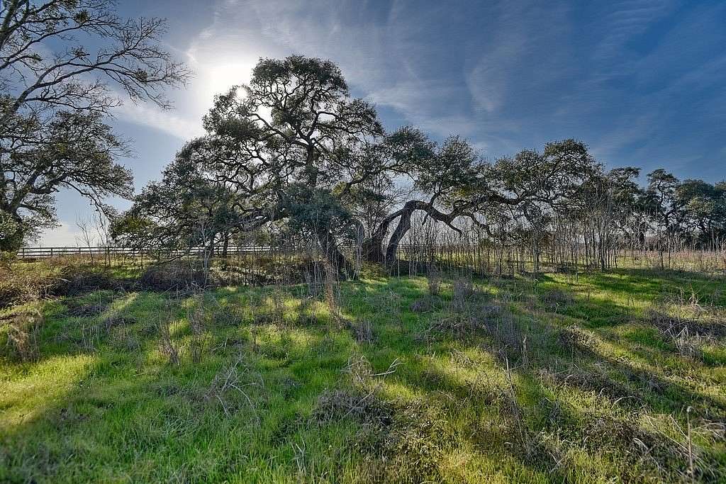 47.7 Acres of Agricultural Land for Sale in Burton, Texas