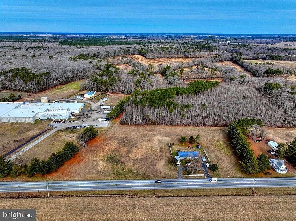 117 Acres of Mixed-Use Land for Sale in Dagsboro, Delaware