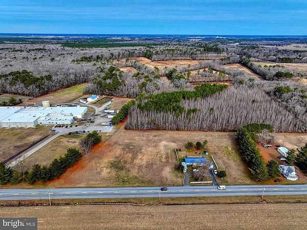 117 Acres of Mixed-Use Land for Sale in Dagsboro, Delaware