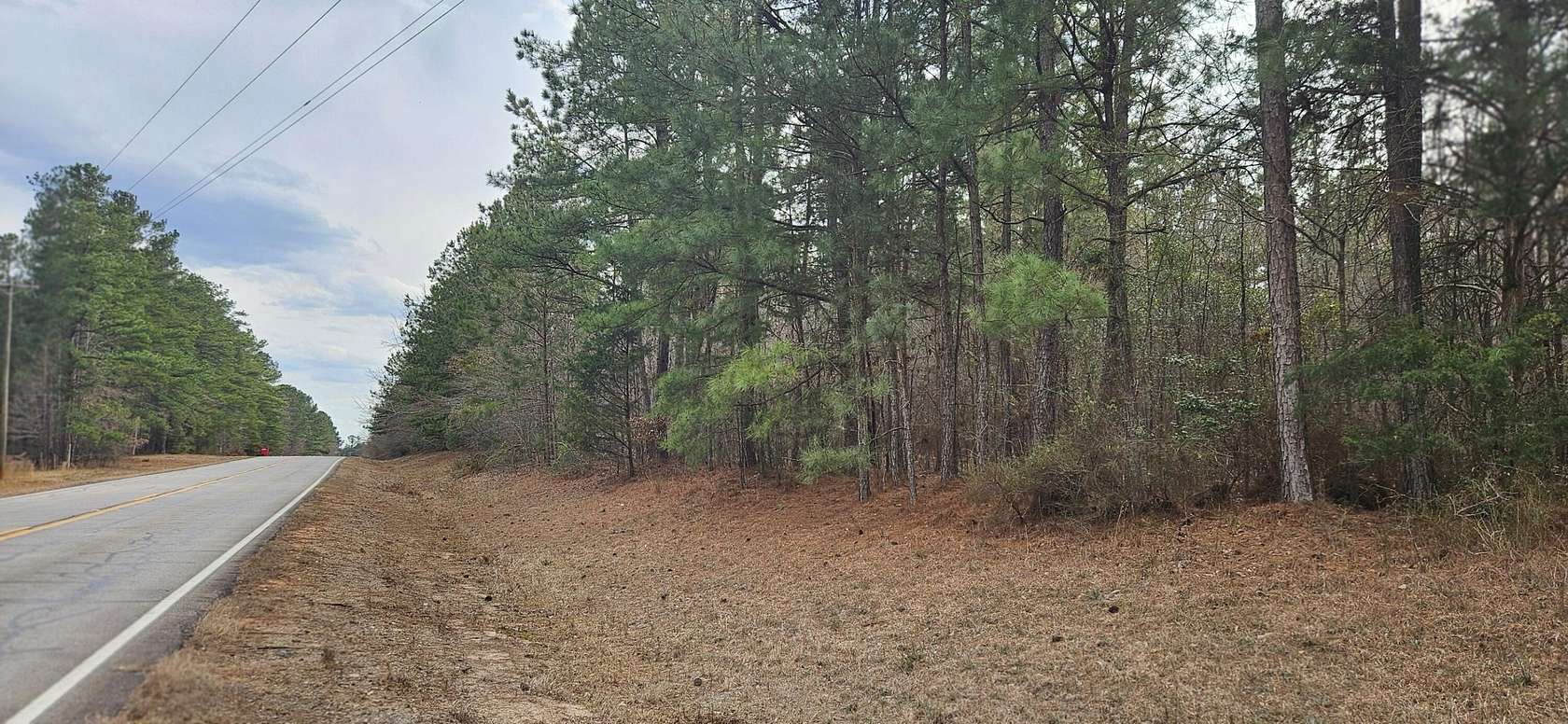 18 Acres of Recreational Land for Sale in Lincolnton, Georgia
