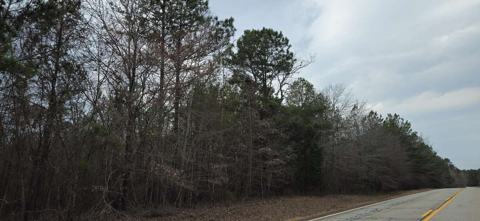 40.1 Acres of Recreational Land for Sale in Lincolnton, Georgia
