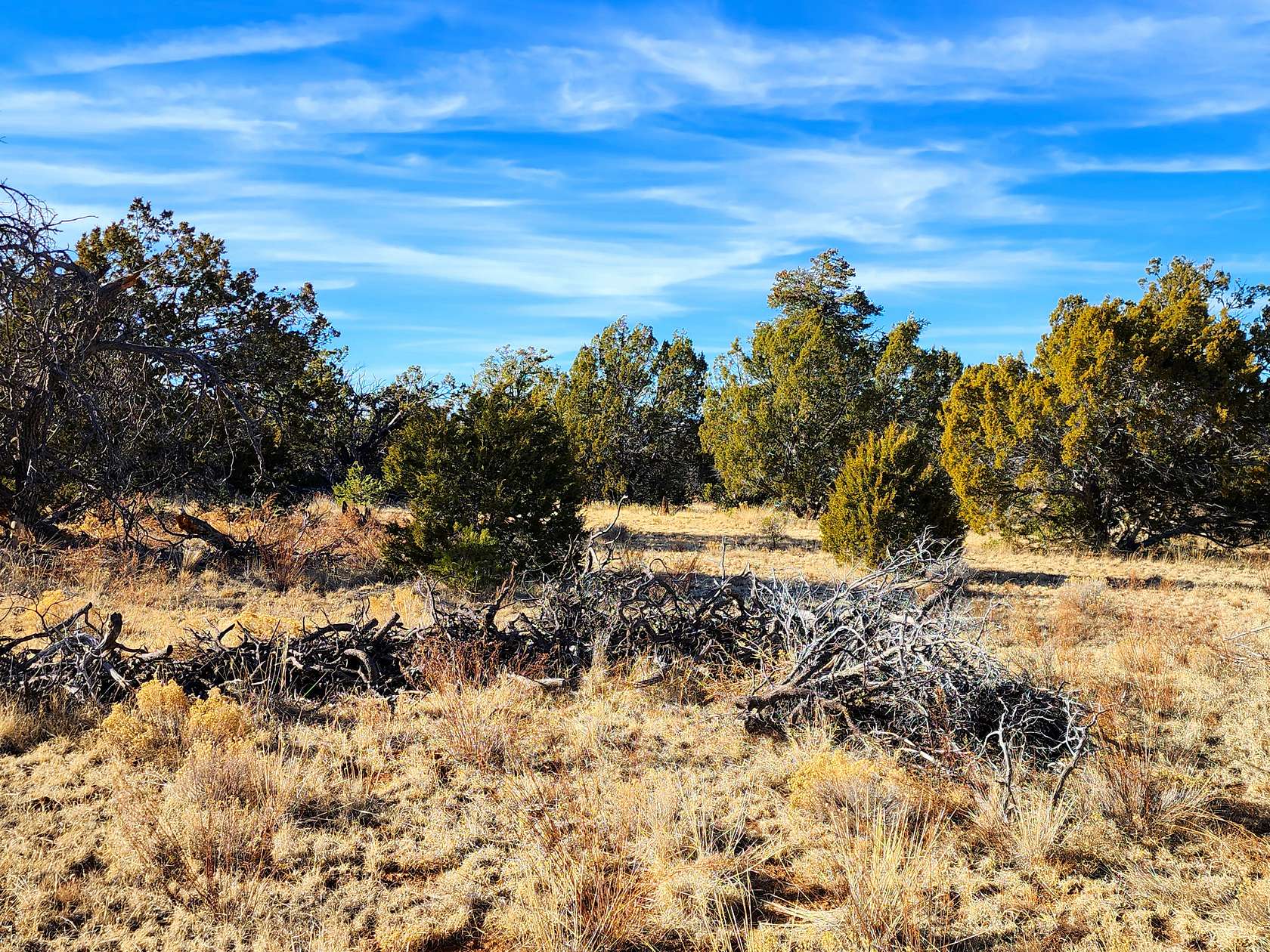 5 Acres of Land for Sale in Pinehill, New Mexico