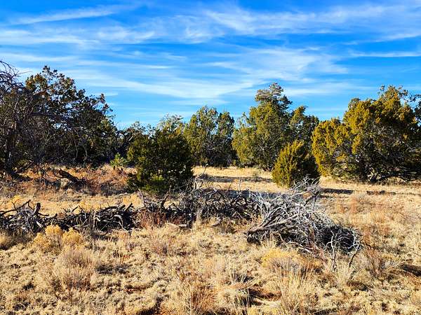 5 Acres of Land for Sale in Pinehill, New Mexico