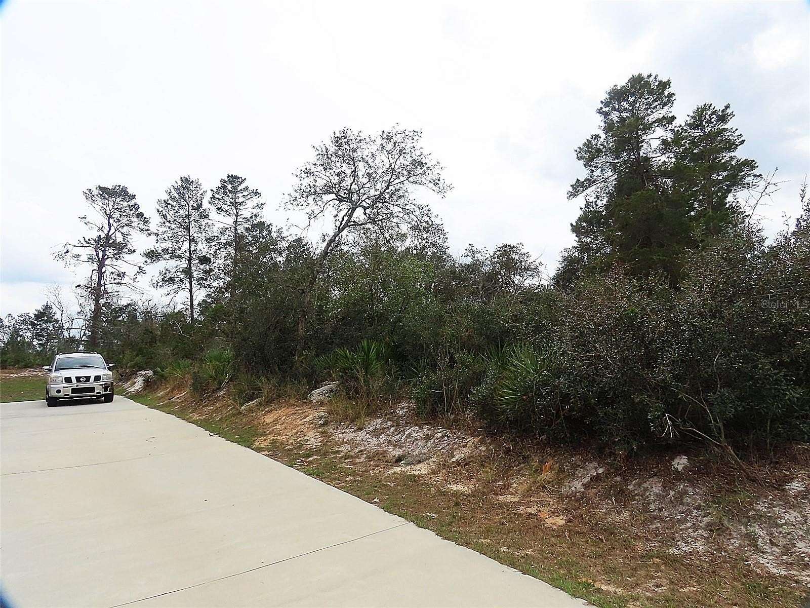 0.31 Acres of Residential Land for Sale in Kissimmee, Florida