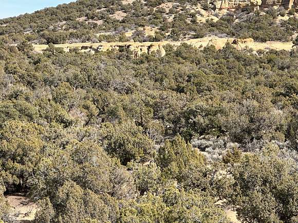 62.1 Acres of Recreational Land for Sale in Aztec, New Mexico