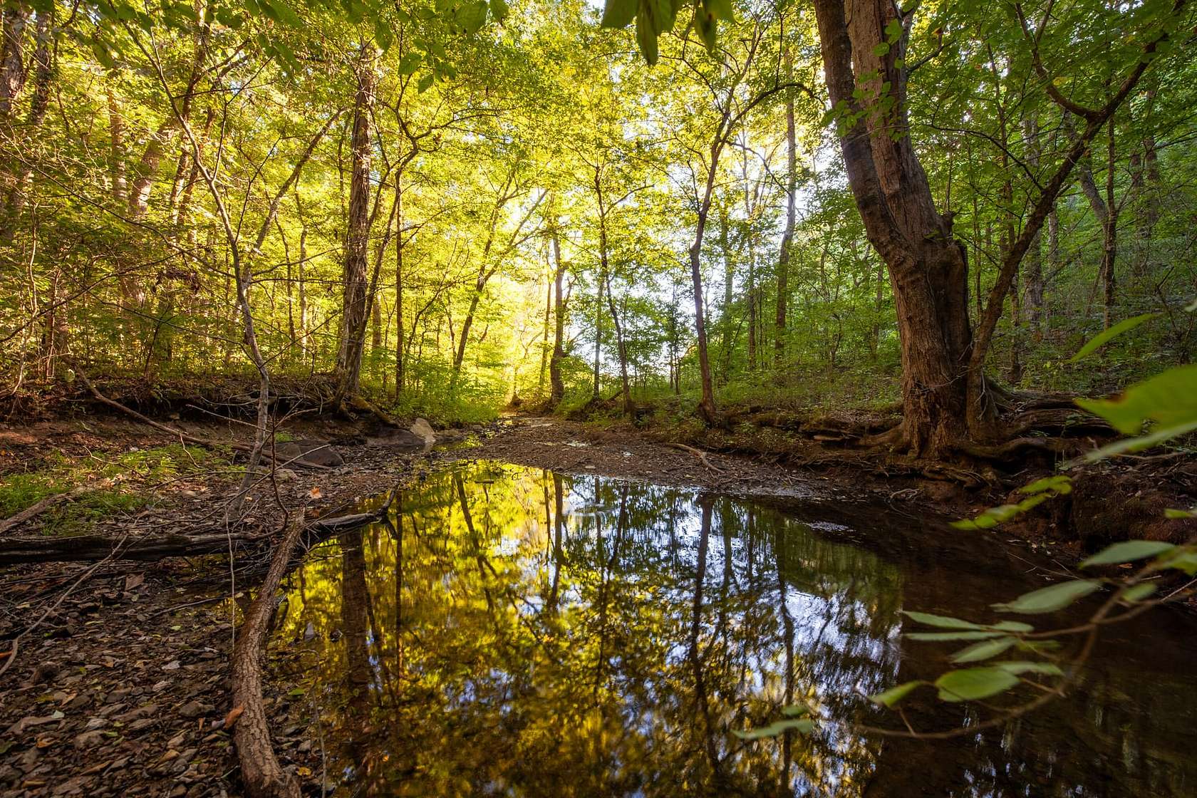 266 Acres of Recreational Land with Home for Sale in Spring Hill, Tennessee