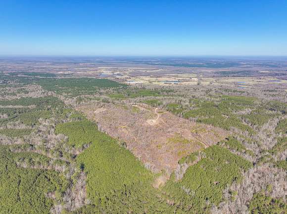 73 Acres of Recreational Land for Sale in Hope, Arkansas