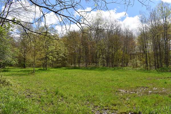 59 Acres of Recreational Land for Sale in Randolph, New York