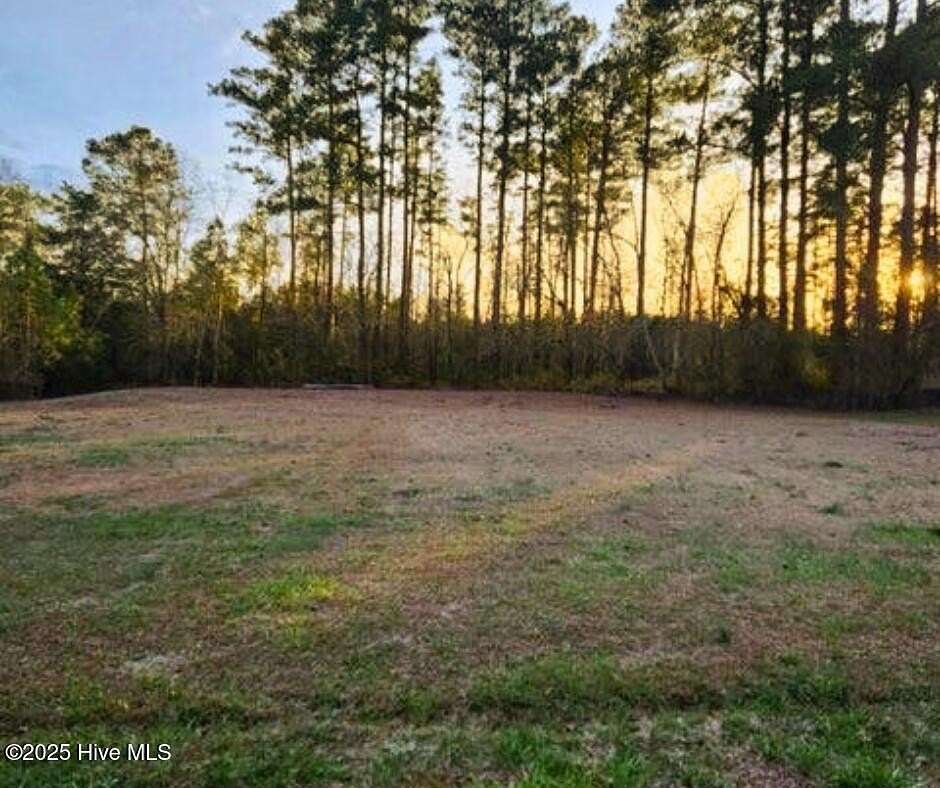 1 Acre of Land for Sale in Oriental, North Carolina