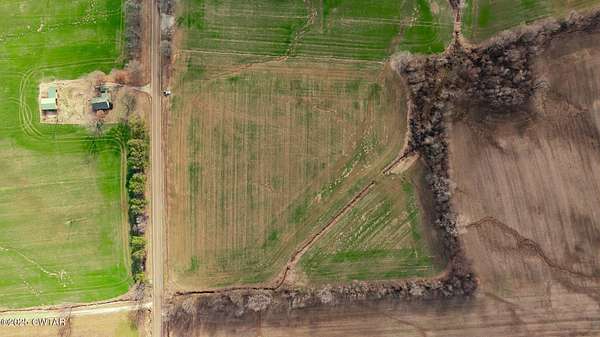 11.6 Acres of Land for Sale in Dyer, Tennessee