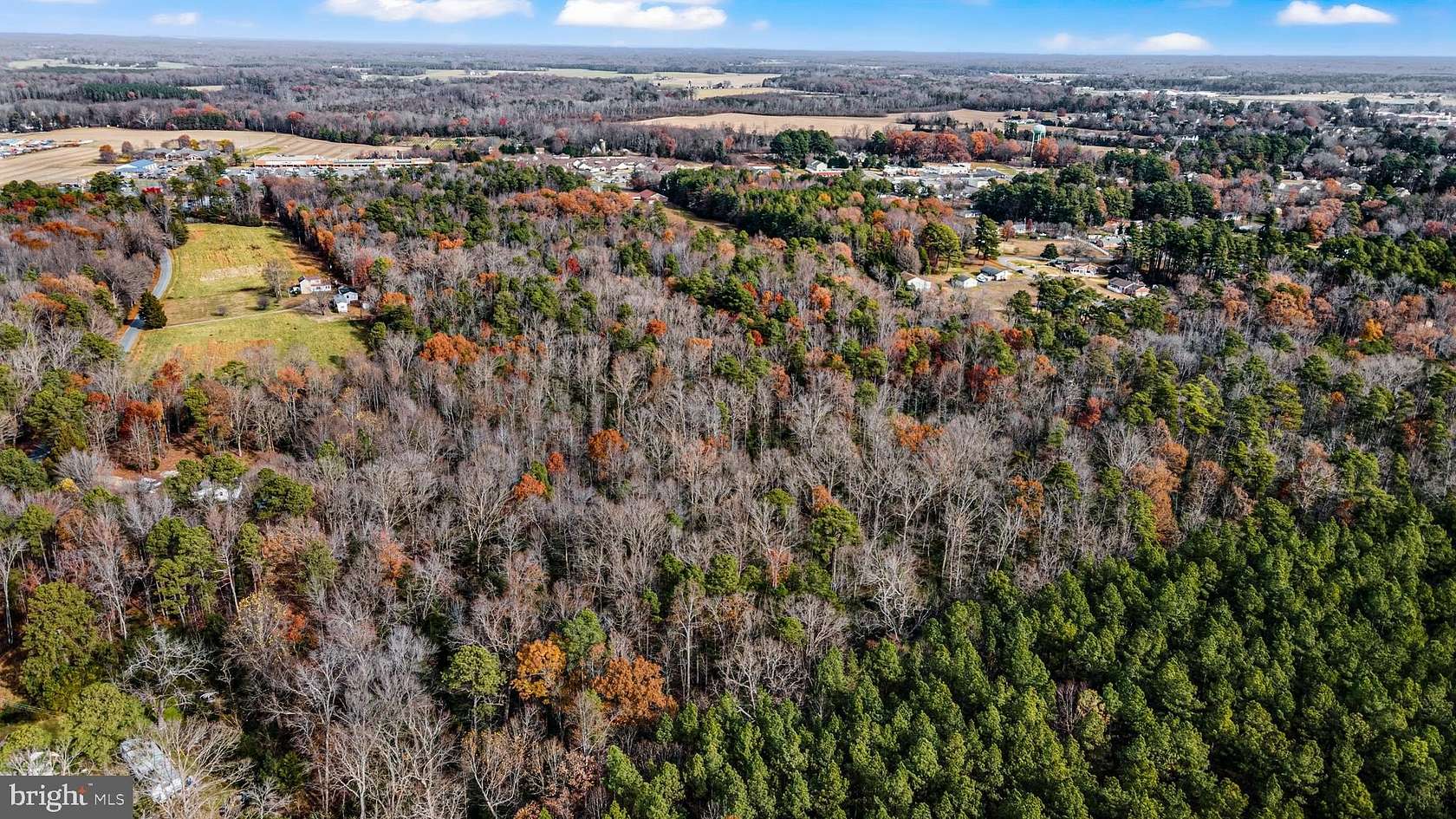 33.8 Acres of Land for Sale in Warsaw, Virginia