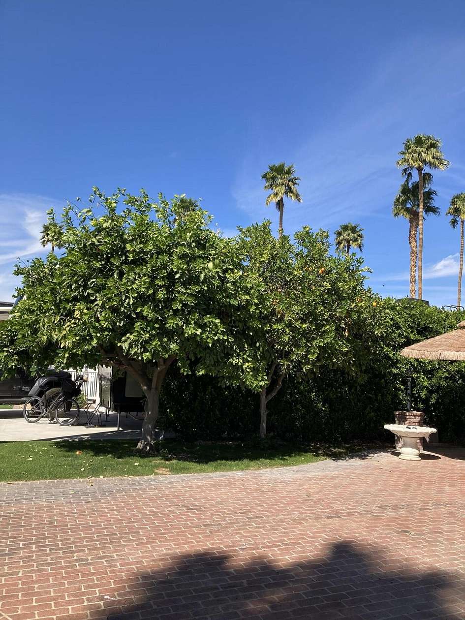 0.05 Acres of Land for Sale in Cathedral City, California