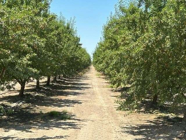 194 Acres of Agricultural Land for Sale in Madera, California