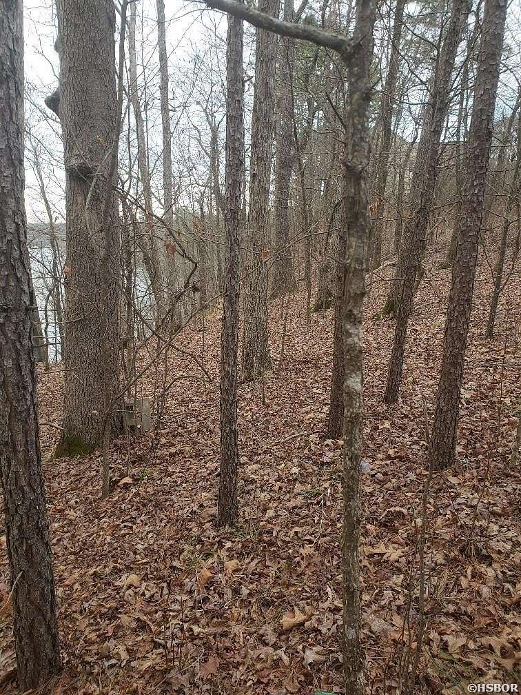 0.35 Acres of Residential Land for Sale in Hot Springs, Arkansas