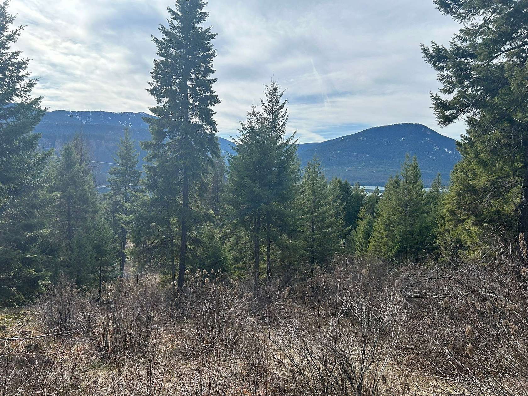 20.9 Acres of Land for Sale in Noxon, Montana