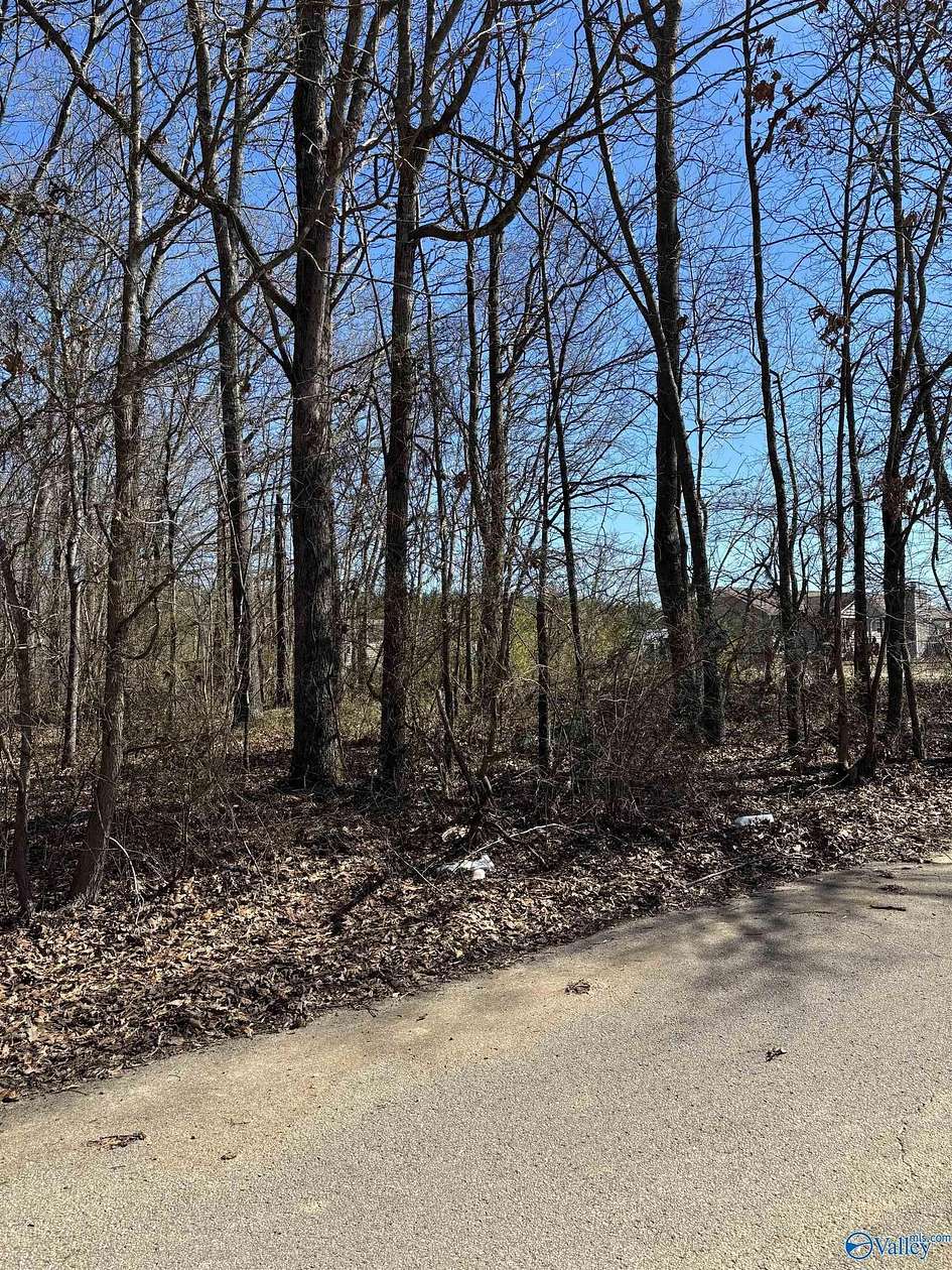 1 Acre of Residential Land for Sale in Hazel Green, Alabama