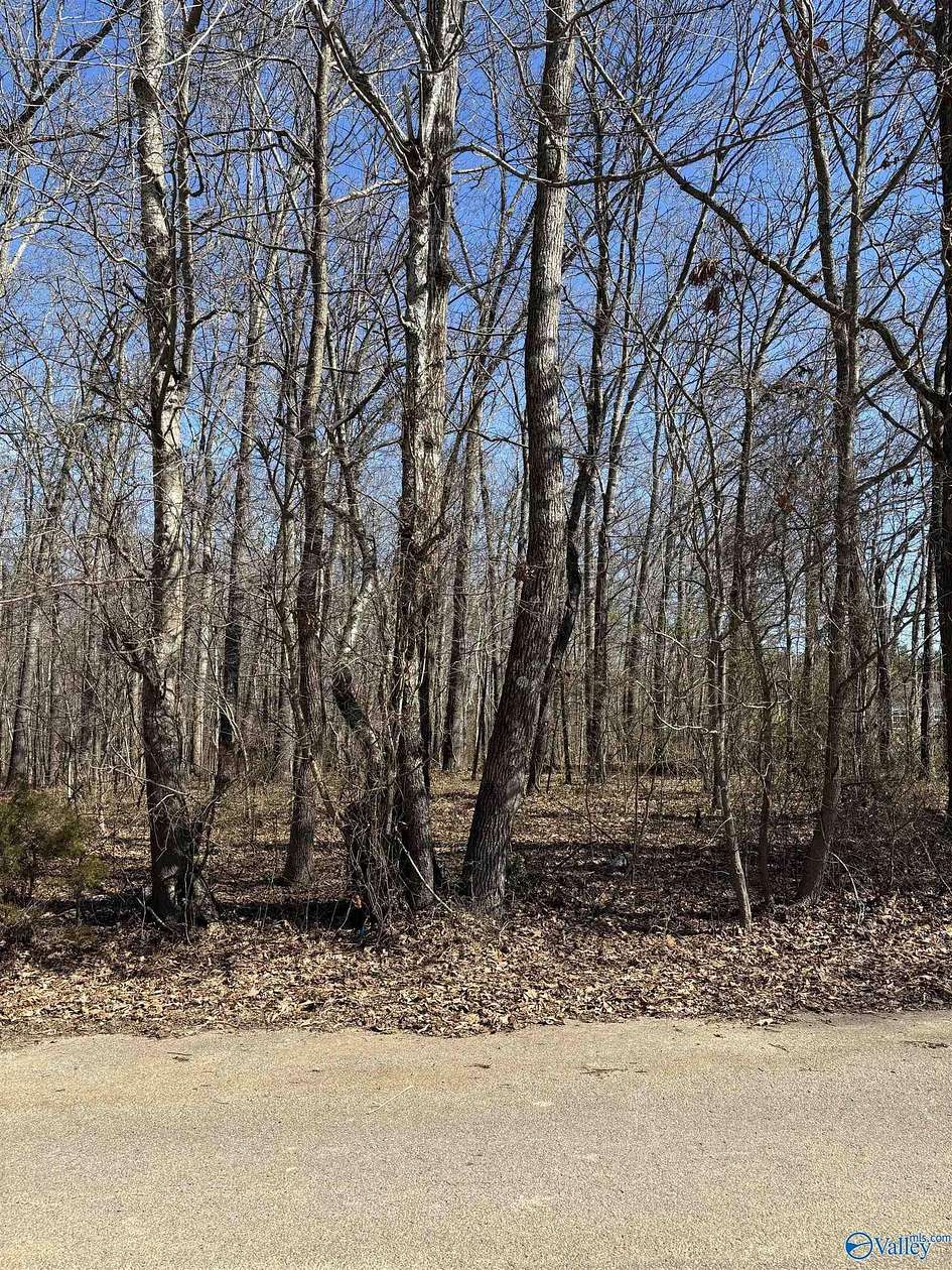 1 Acre of Residential Land for Sale in Hazel Green, Alabama