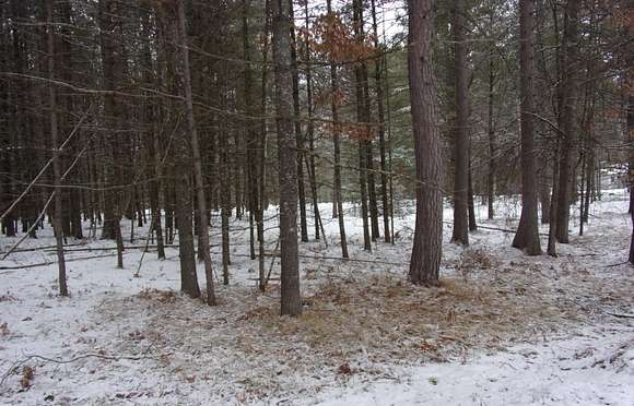 1.5 Acres of Commercial Land for Sale in St. Germain Town, Wisconsin ...