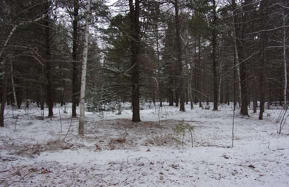 1.5 Acres of Commercial Land for Sale in St. Germain Town, Wisconsin ...