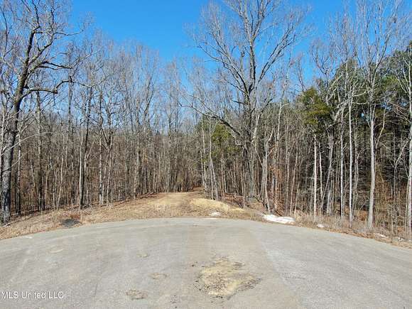 16 Acres of Land for Sale in Byhalia, Mississippi