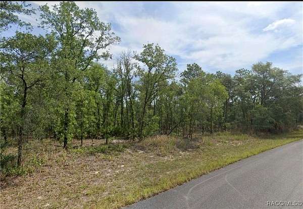 0.22 Acres of Residential Land for Sale in Citrus Springs, Florida