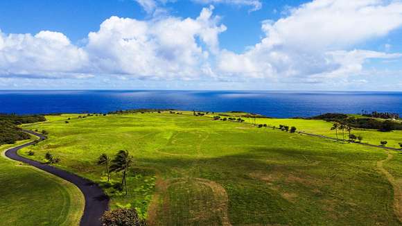 76 Acres of Agricultural Land for Sale in Haʻikū, Hawaii