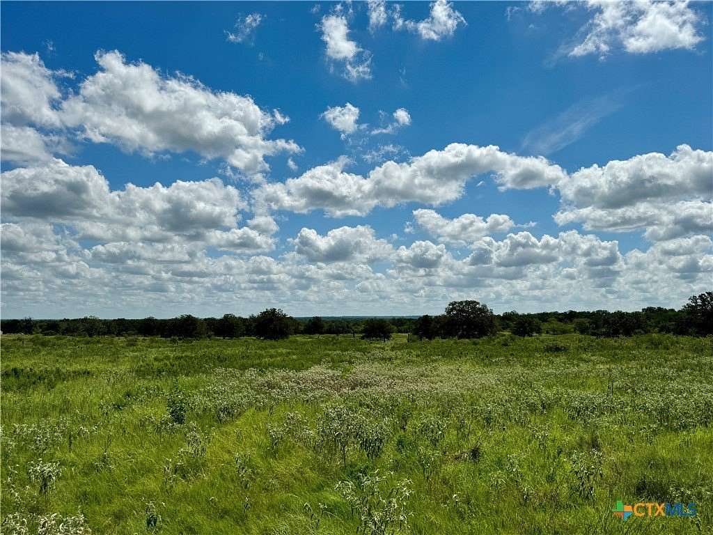 12 Acres of Commercial Land for Sale in Stockdale, Texas