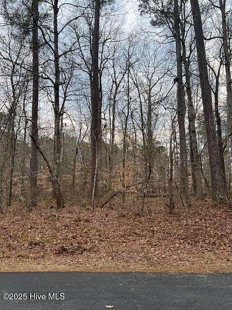 0.26 Acres of Residential Land for Sale in Hertford, North Carolina