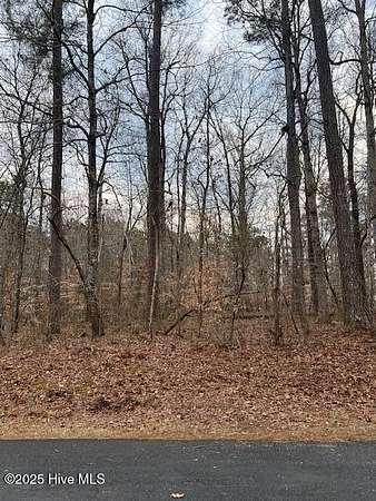 0.26 Acres of Residential Land for Sale in Hertford, North Carolina