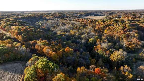 103 Acres of Land for Sale in Canton, Illinois