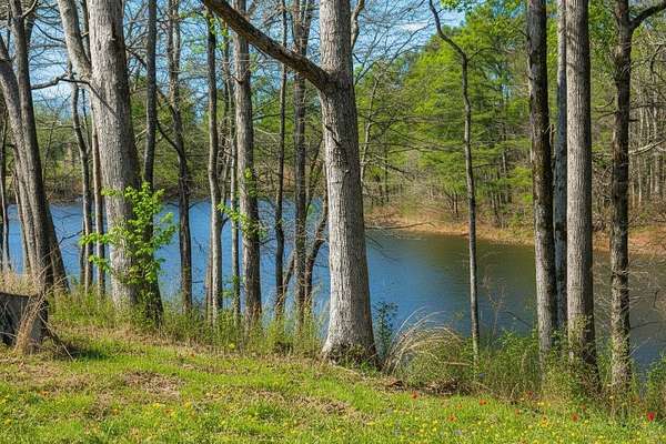 9 Acres of Residential Land for Sale in Cullman, Alabama