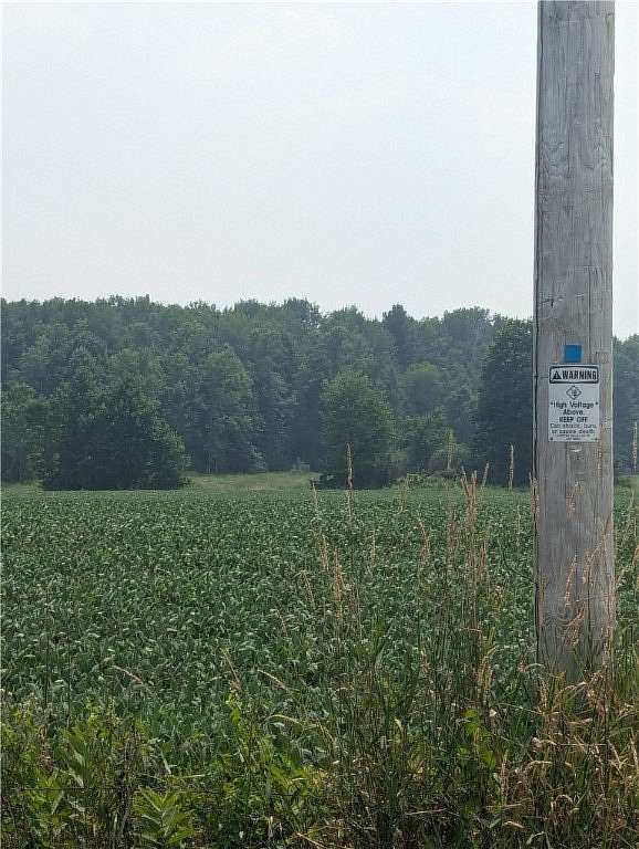 1.45 Acres of Land for Sale in Holcombe, Wisconsin