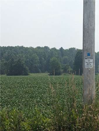 1.45 Acres of Land for Sale in Holcombe, Wisconsin