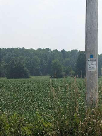 1.45 Acres of Land for Sale in Holcombe, Wisconsin