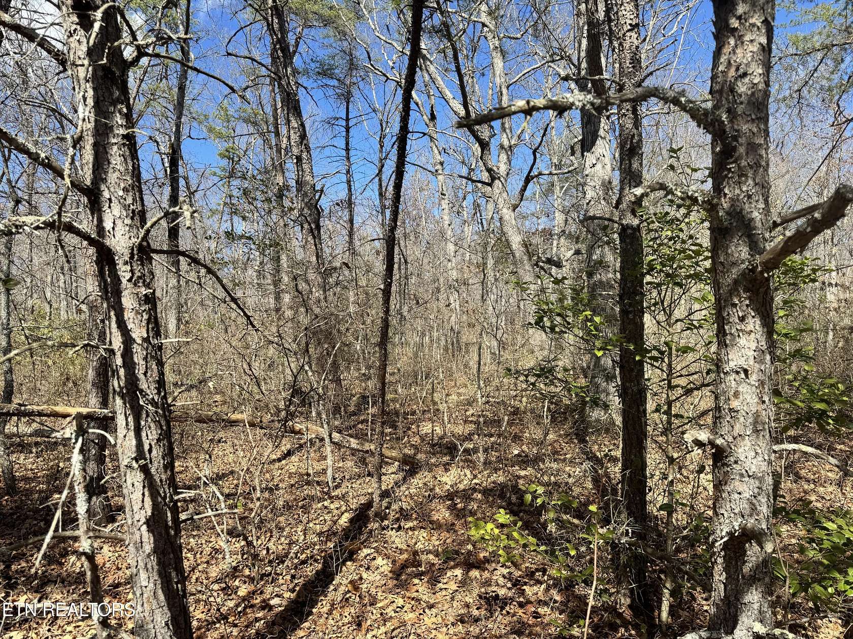 1 Acre of Residential Land for Sale in Monterey, Tennessee