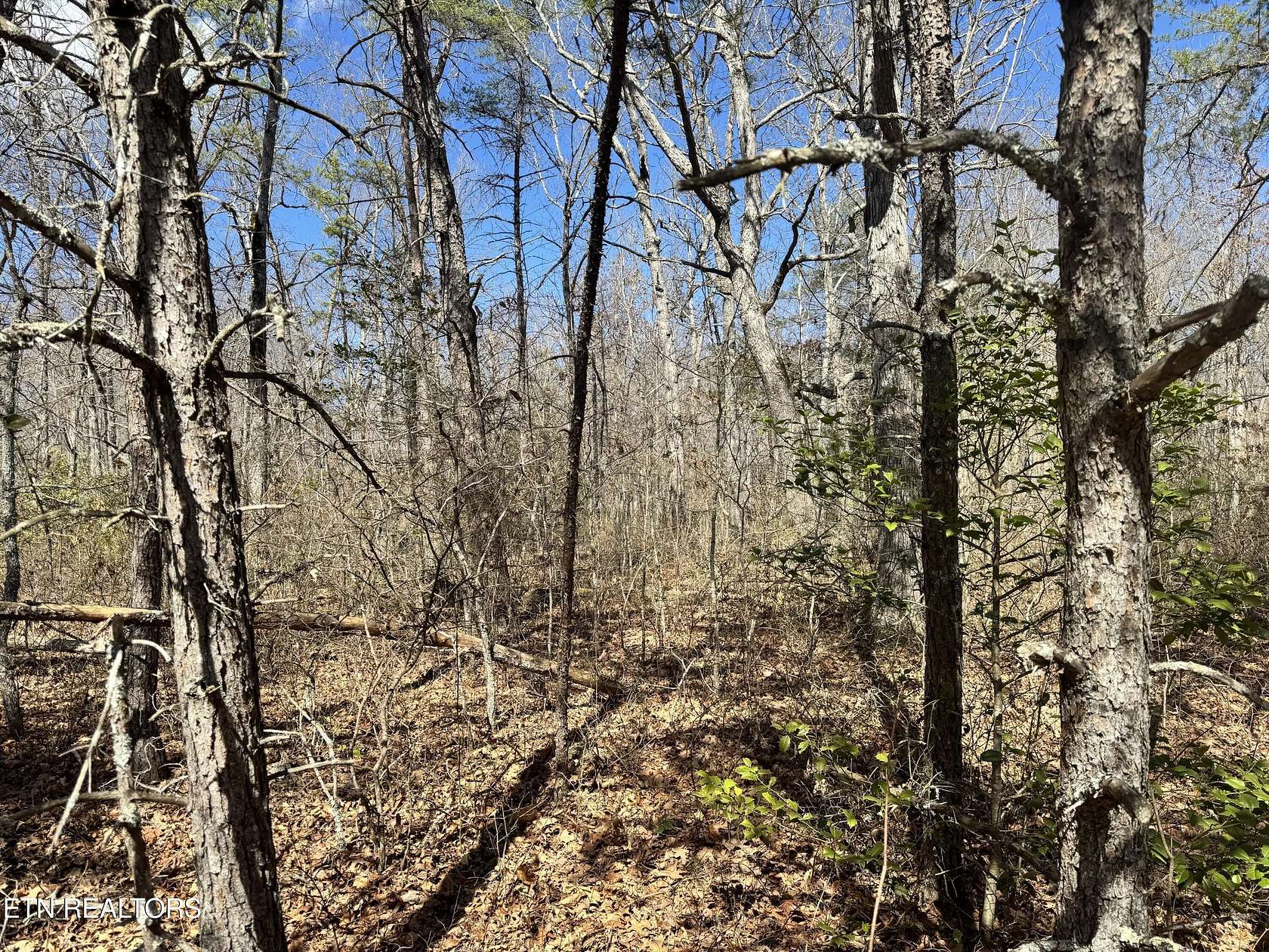 1 Acre of Residential Land for Sale in Monterey, Tennessee