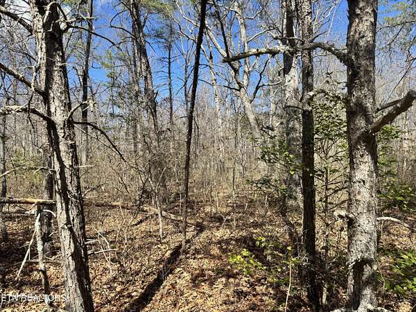 1 Acre of Residential Land for Sale in Monterey, Tennessee