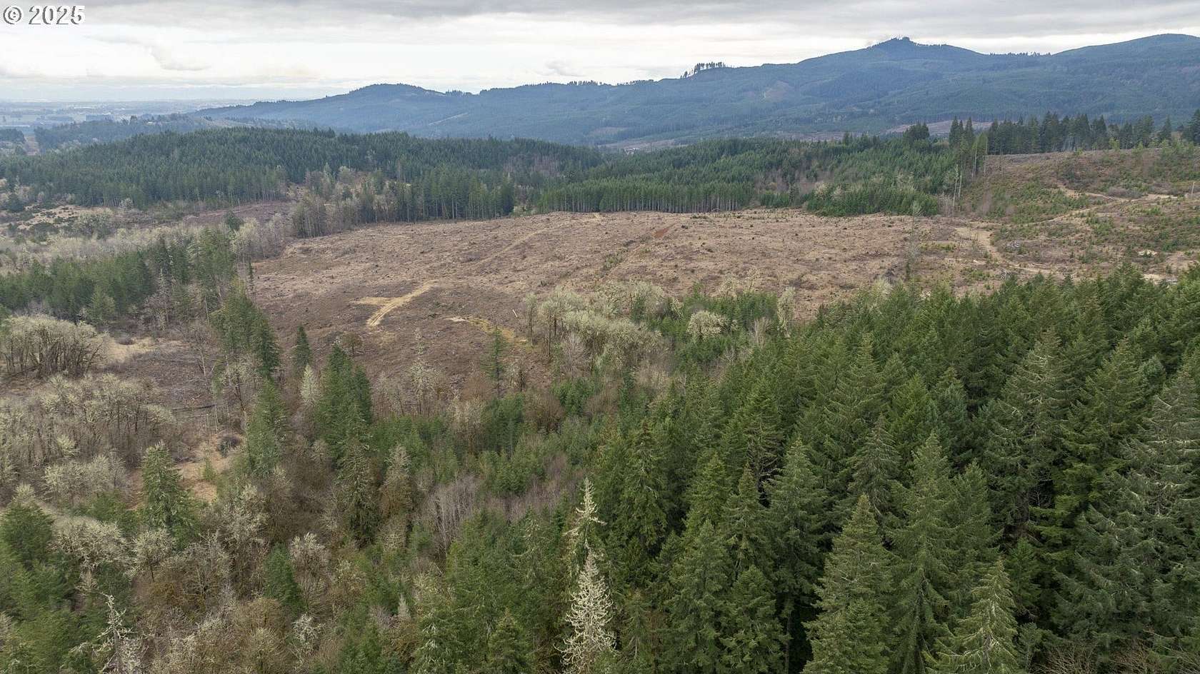 100 Acres of Recreational & Residential Land for Sale in Carlton, Oregon