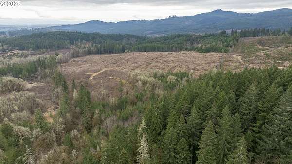100 Acres of Recreational & Residential Land for Sale in Carlton, Oregon