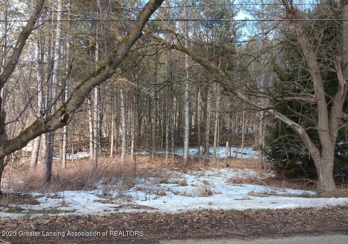 1 Acre of Land for Sale in Perry, Michigan