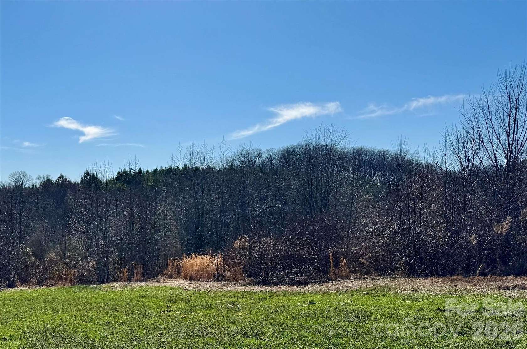 21.4 Acres of Commercial Land for Sale in Peachland, North Carolina