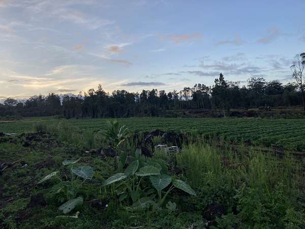 53.7 Acres of Land for Sale in Volcano, Hawaii