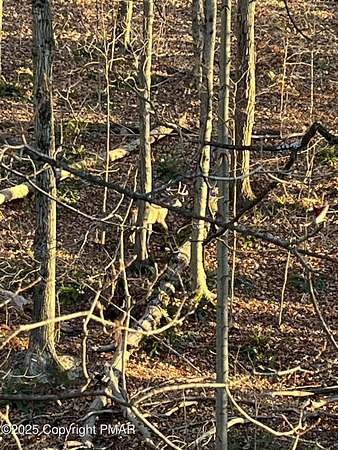 33.9 Acres of Land for Sale in Mount Pocono, Pennsylvania