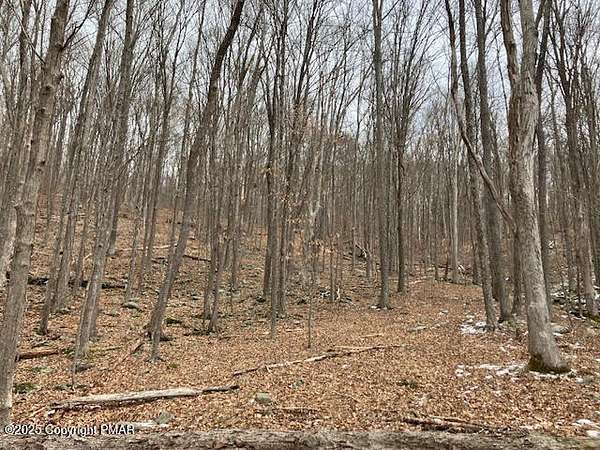 97 Acres of Recreational Land for Sale in East Stroudsburg, Pennsylvania