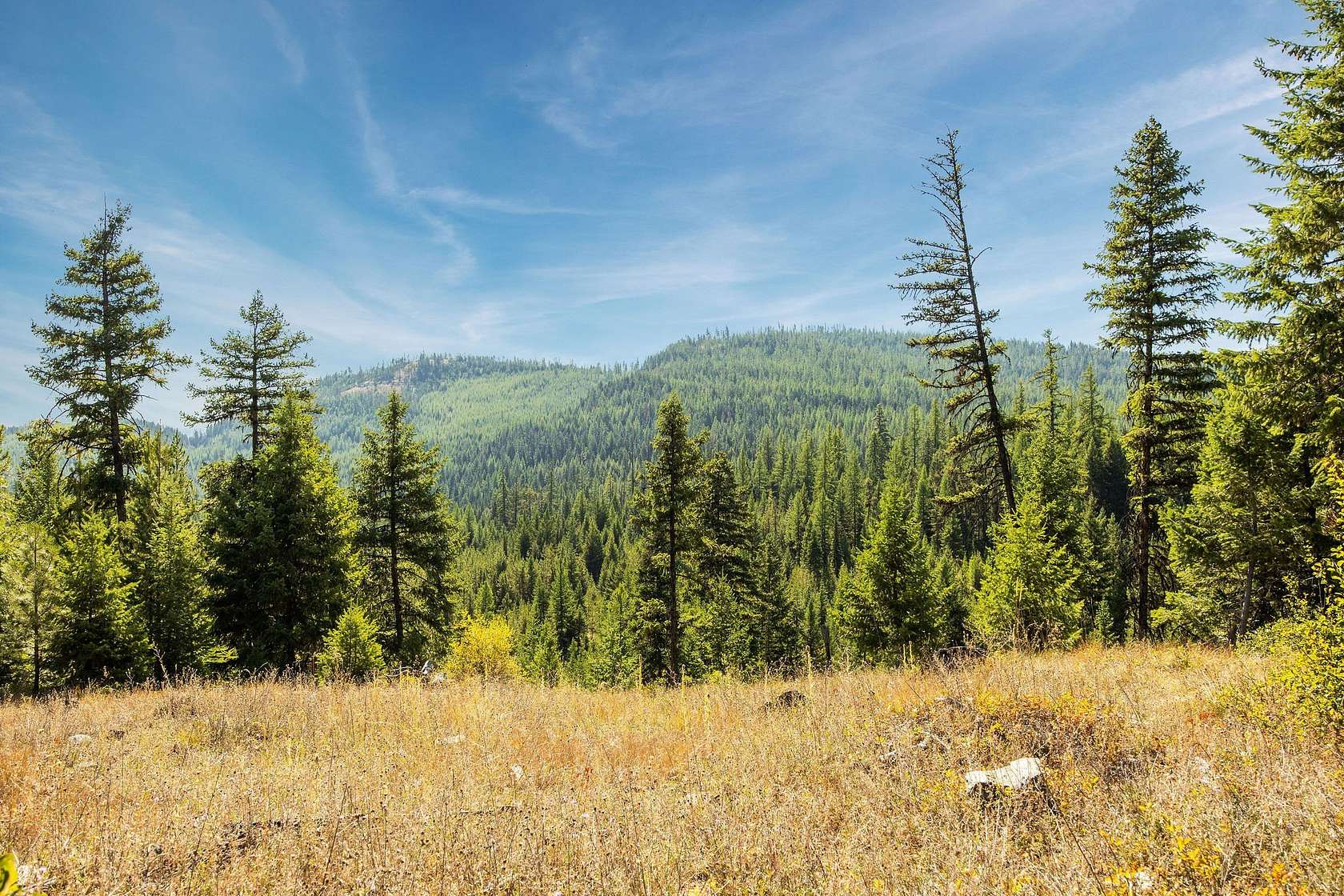 640 Acres of Recreational Land for Sale in Libby, Montana