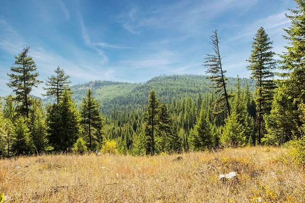 640 Acres of Recreational Land for Sale in Libby, Montana