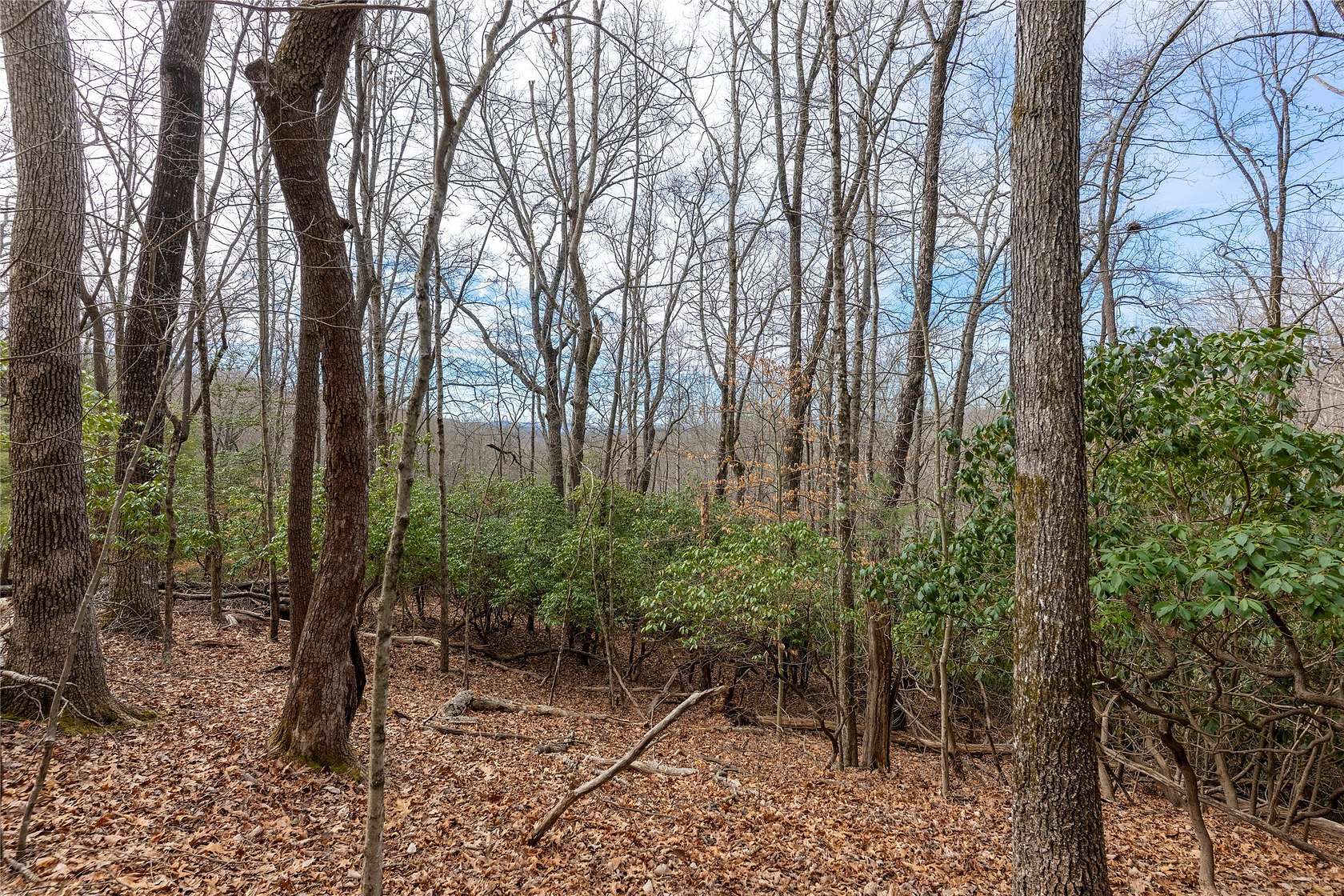 50 Acres of Land for Sale in Pisgah Forest, North Carolina